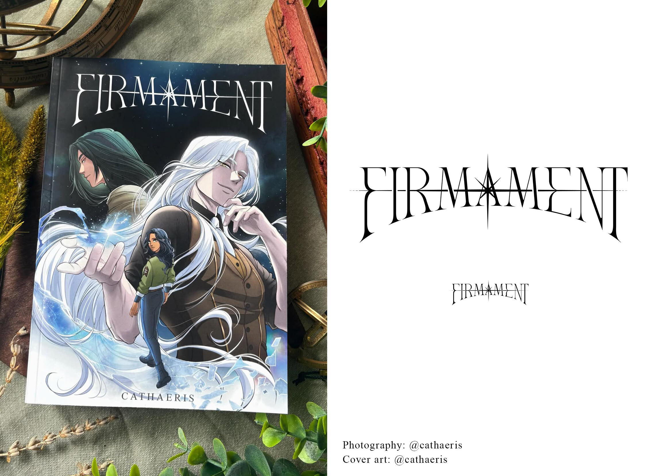 Client work for Cathaeris's self-published novel in German, "Firmament"