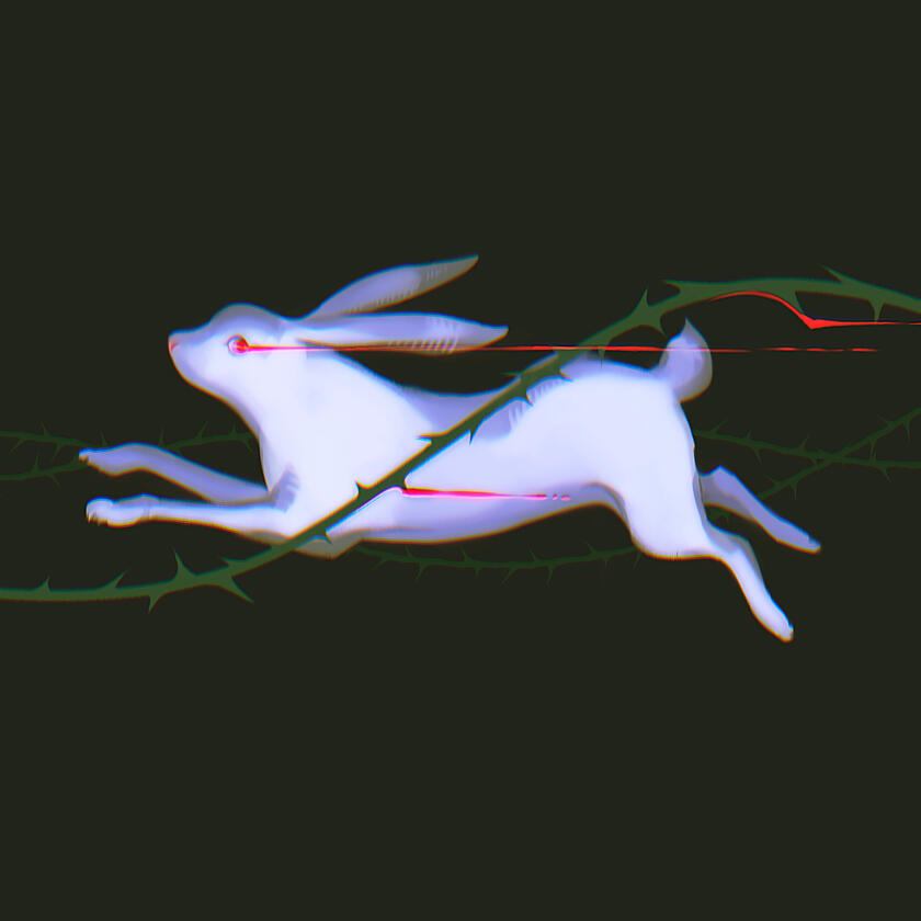 White bunny falling in a thorn bush