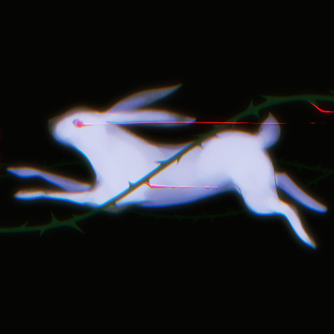 White bunny falling in a thorn bush